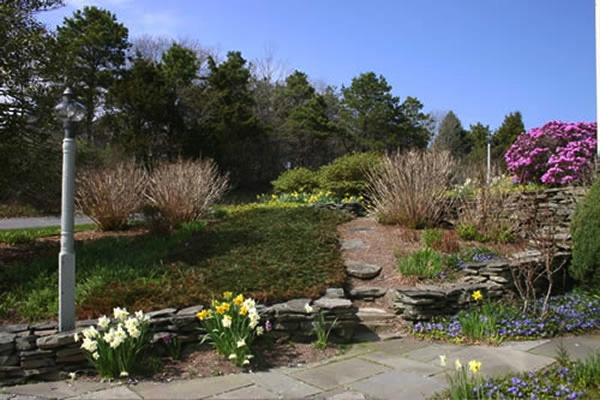 Cape Cod Builder